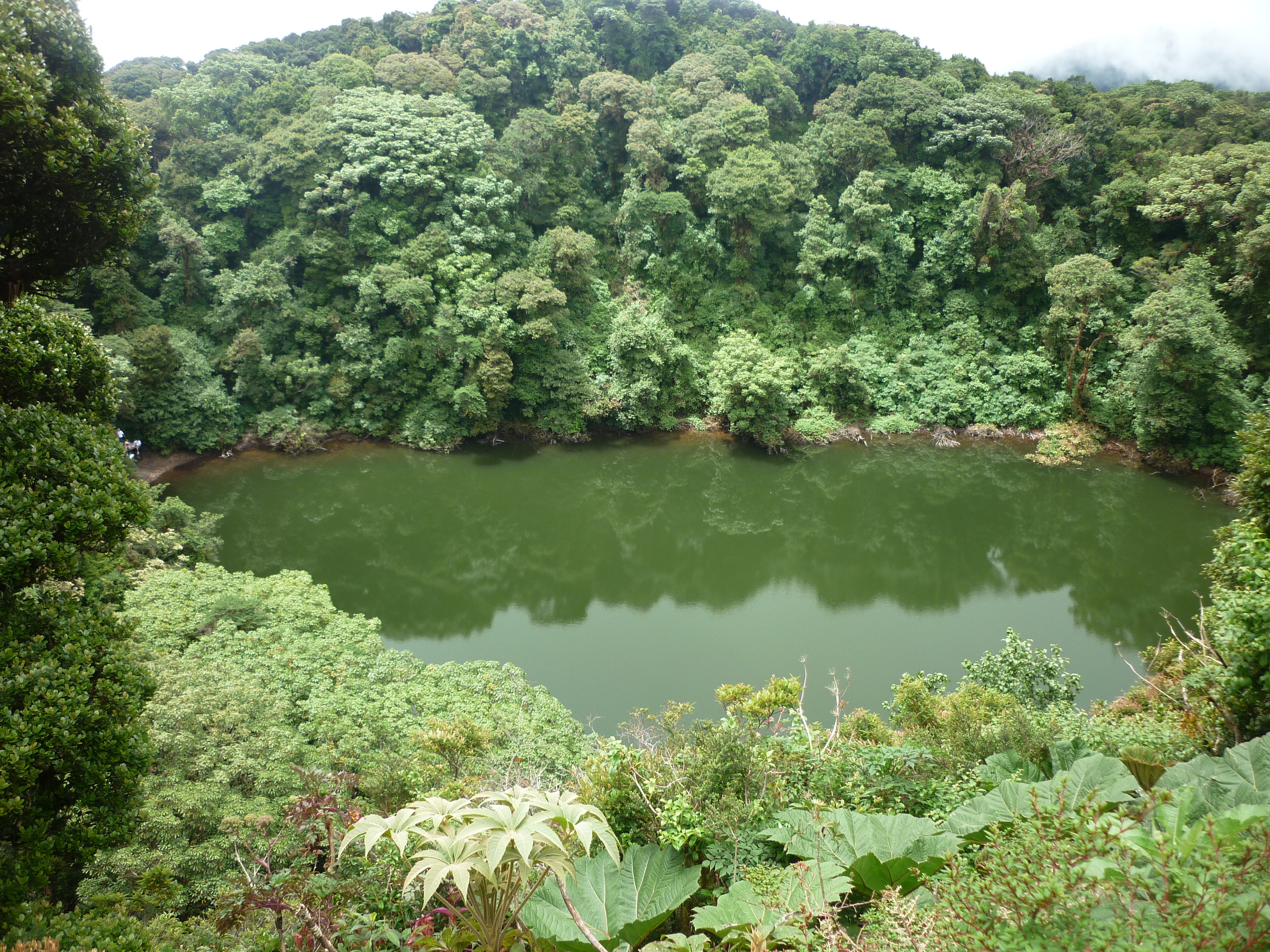 Laguna del Barva rodeada de bosque nuboso, Heredia, Costa Rica